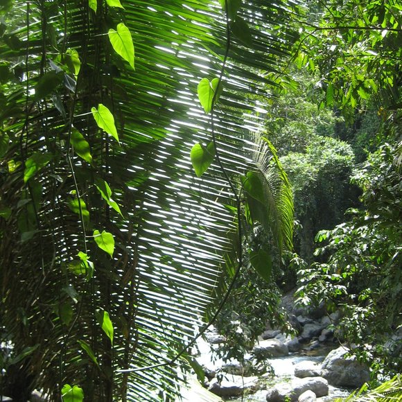 Meet your Posher - Picture 7 of 9